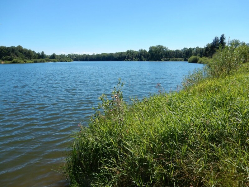 15 Vlkovské pískovny